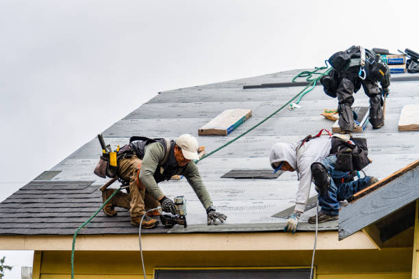 Professional Gutter Installation technician working in Tintah, MN